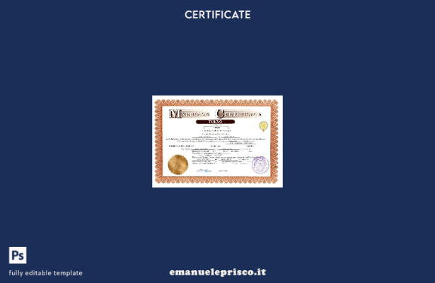 Certificato di matrimonio giapponese in stile verificato Modello Word e PDF